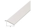 PLATTE STRIP PVC WIT 30x3MM 1MTR